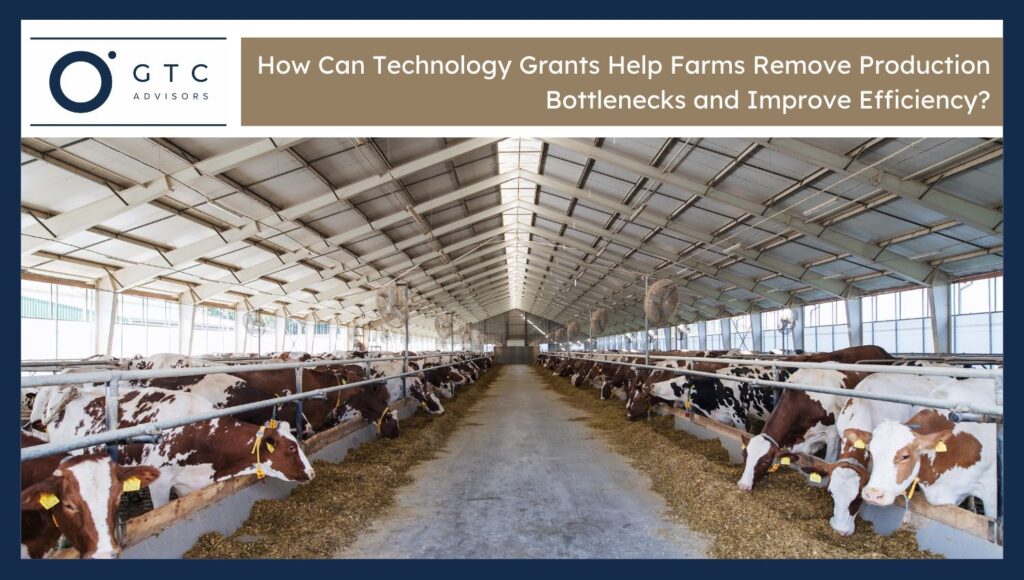Farms Remove Production Bottlenecks