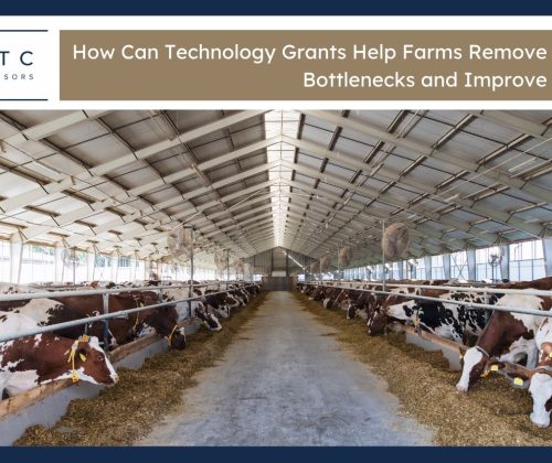 Farms Remove Production Bottlenecks