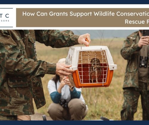 Wildlife Conservation